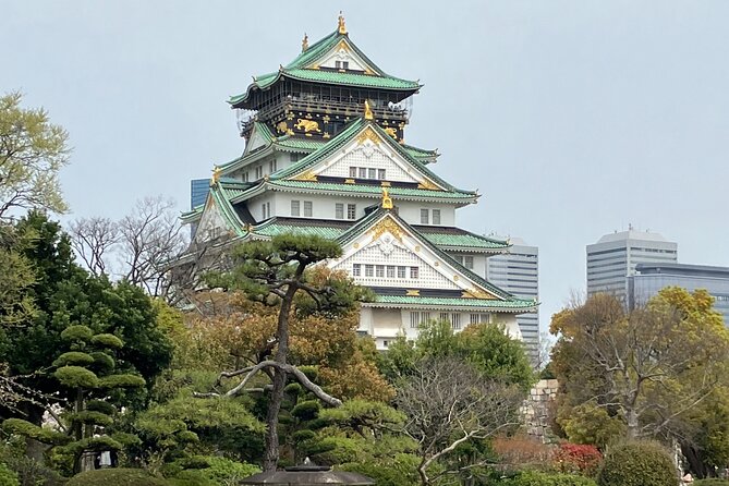 Private Osaka Tour With Hotel Pick up - 3,4,5 Hour Tours - Tour Logistics