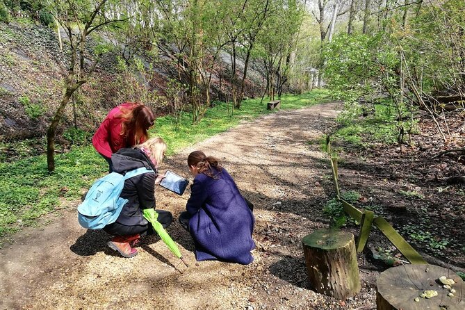 Private Outdoor City Games Escape Rooms - Key Points