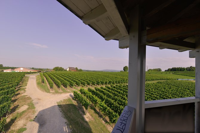 Private: Outdoor Escape Game Tuniberg: Eduardo & the Wine Secret - Participant Reviews and Ratings