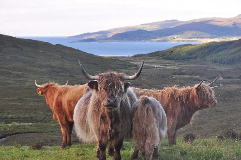 Private Outlander Tour for Small Groups - Key Points