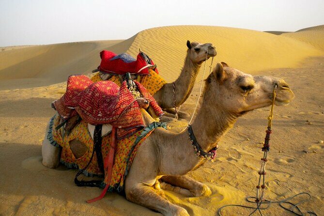 Private Overnight Safari Tour with Camel Ride - Who Will Appreciate This Tour?