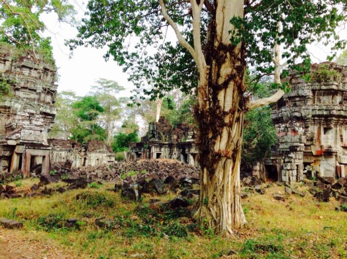 Private Oxcart Ride & Local Village Tour With Cooking Class - Frequently Asked Questions