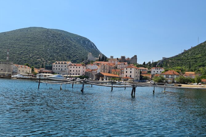 Private Oyster and Wine Tasting Day Trip Along Peljesac - Savoring Stons Delicacies