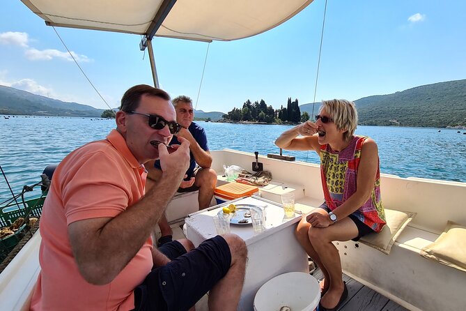 Private Oyster and Wine Tasting Day Trip Along Peljesac - Optional Ston Wall Visit