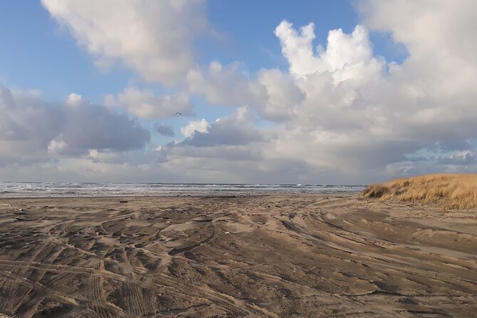Private Pacific Ocean Beach Experience - Key Points