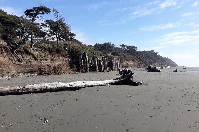 Private Pacific Ocean Beach Experience - Itinerary and Activities