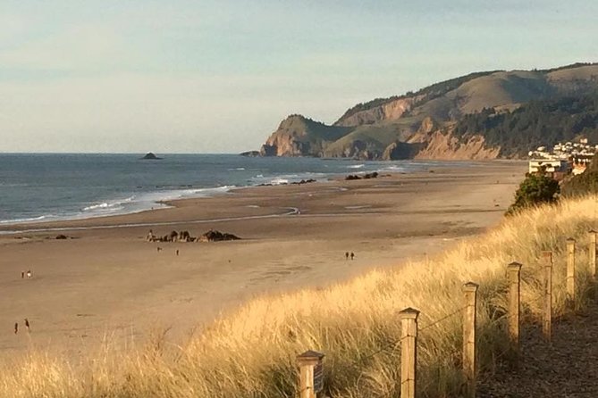 Private Pacific Ocean Beach Experience - Traveler Testimonials