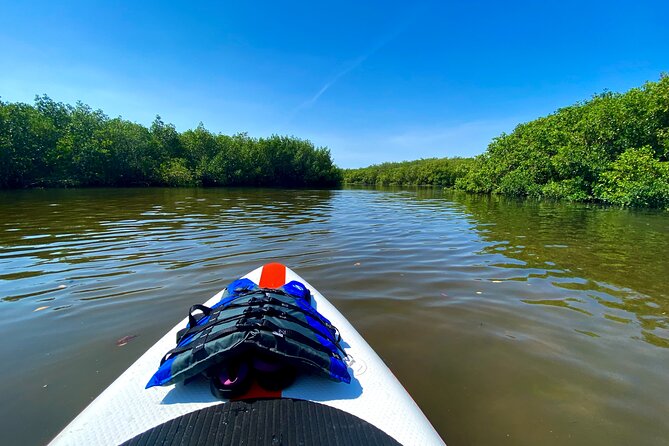 Private Paddle Board Adventure - Activity Reviews