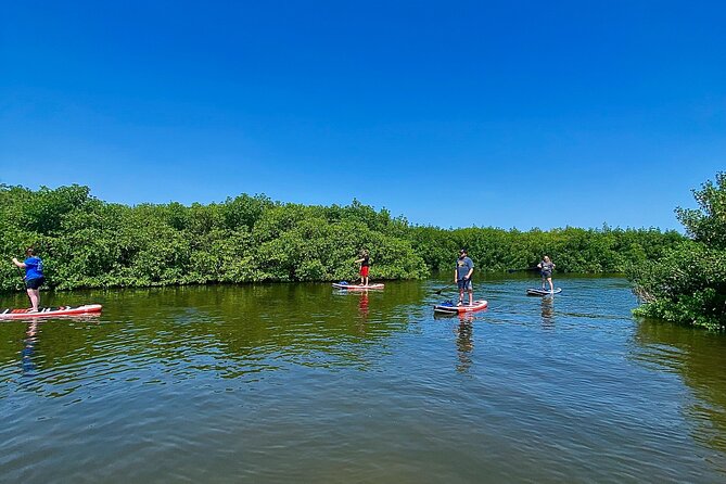Private Paddle Board Adventure - Packing Essentials