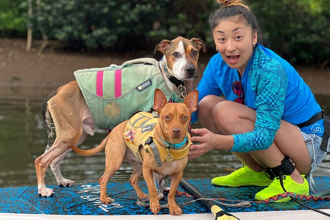 Private Paddle Boarding in Haleiwa With Rescue Dogs - Preparing for the Paddle Boarding Experience