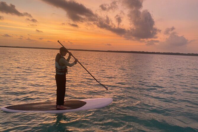 Private Paddleboard Experience in Bacalar - Detailed Breakdown of the Itinerary
