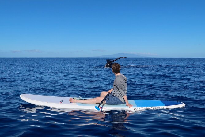 Private Paddleboard (Sup) Whale Watch! (All Skill Levels Welcome) - Included Equipment