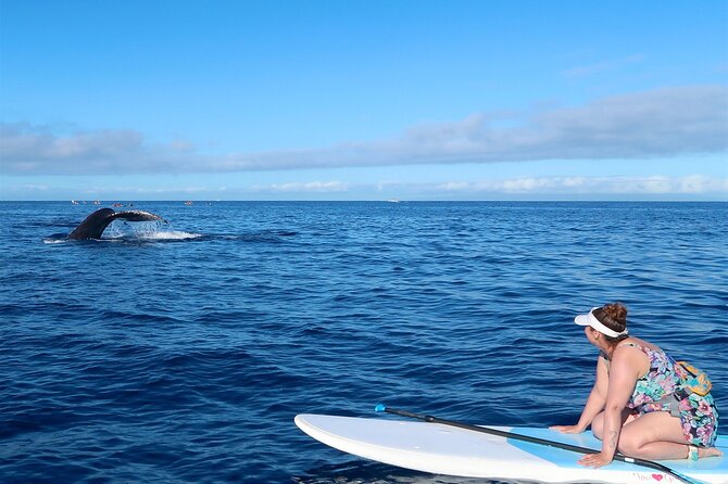 Private Paddleboard (Sup) Whale Watch! (All Skill Levels Welcome) - Whale Watching Experience