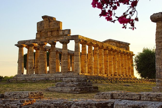 Private Paestum and Mozzarella Farm Tour - Tour Inclusions