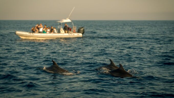 Private Panorama With Snorkeling and Dolphins Tour in Poreč - Snorkeling in Lim Fjord