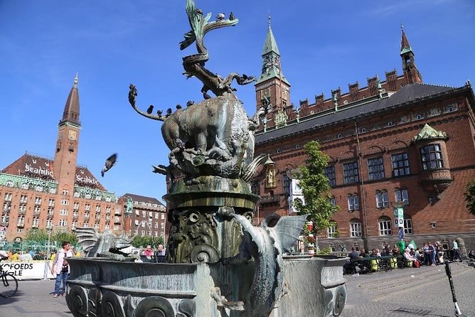 Private Panoramic Tour of Copenhagen - Participation and Accessibility