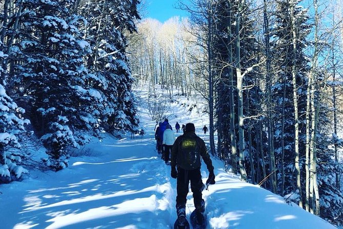 Private Park City Snowshoe Excursions (9:30am/12:30pm Start Time) - Activity Details