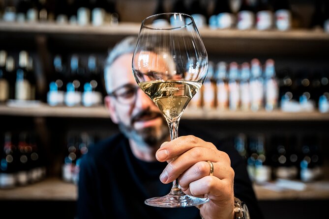 Private Parmigiano Balsamic Parma Ham and Wine Tasting Tour - Professional Local Guide Insights