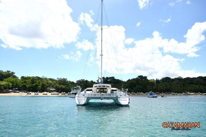 Private Party Boat Catamaran Excursion + Drinks and Barbecue - Boat and Amenities