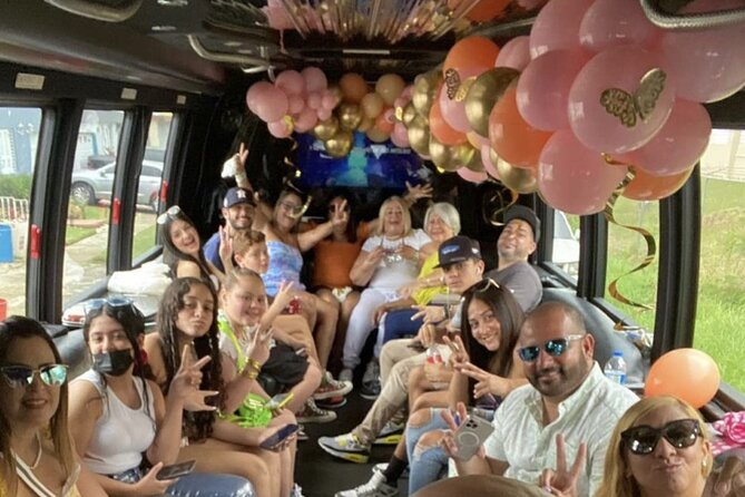 Private Party Bus Tour in Puerto Rico - Accessibility and Participation