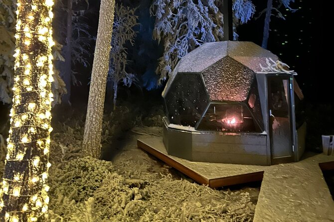 PRIVATE Party Dinner in a Glass Igloo Under Northern Lights - Additional Information