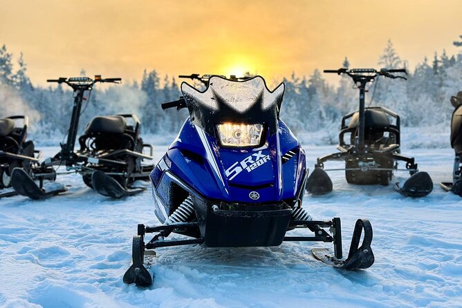 PRIVATE Party Northern Lights Tour Snow Scooters - Included Amenities and Accessibility