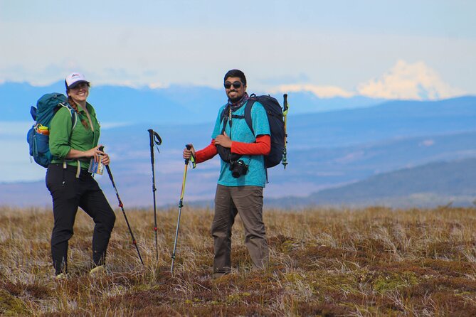 Private Patagonian Forest Hike in Punta Arenas: 6 Hour - Key Points