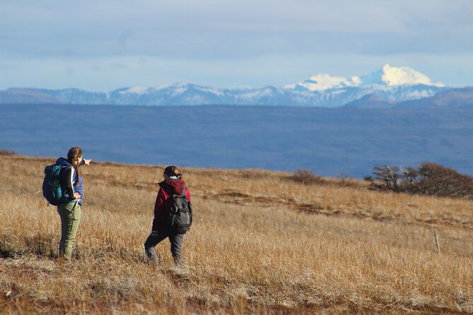Private Patagonian Forest Hike in Punta Arenas: 6 Hour - Inclusions