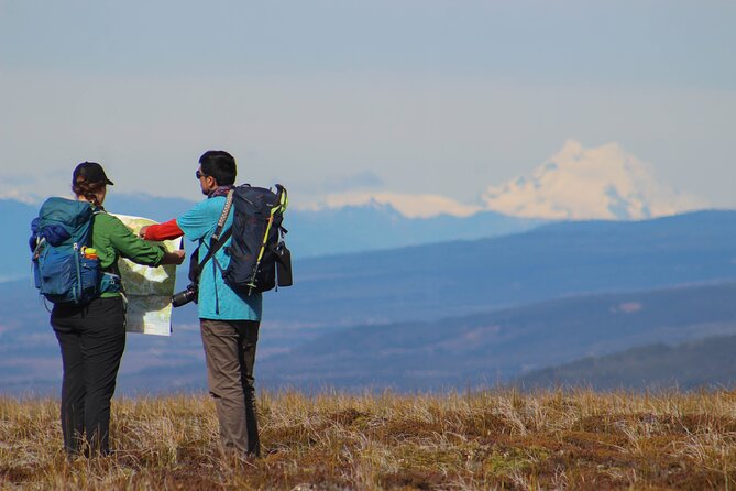 Private Patagonian Forest Hike in Punta Arenas: 6 Hour - Tour Details