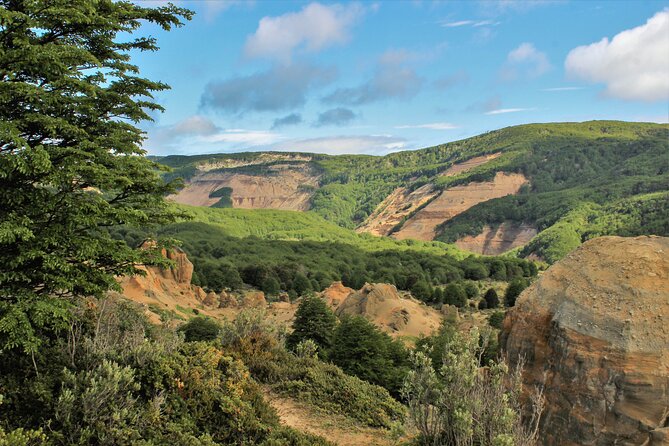 Private Patagonian Forest Hike in Punta Arenas: 8 Hour - Tour Inclusions