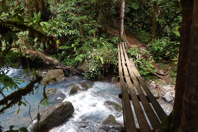 Private Path to Swimming in the Blue Water. - Tour Details