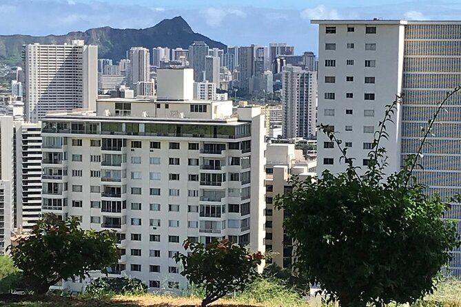 Private Pearl Harbor and Honolulu City Tour - Additional Fees