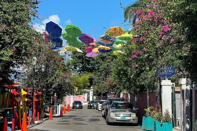 Private Pedicab Tour of Downtown Nassau Attractions - Customer Experiences