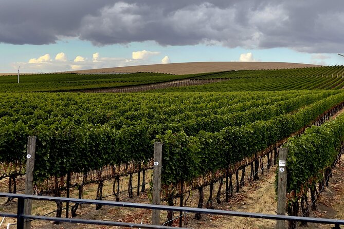 Private Personal Winery Tours in Walla Walla - Reviews and Ratings