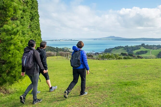 Private Personalised Tour in Waiheke Island - Getting to Waiheke Island