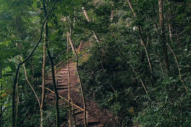 Private Petit Piton View Trail at Fond Doux - Tips for a Memorable Experience
