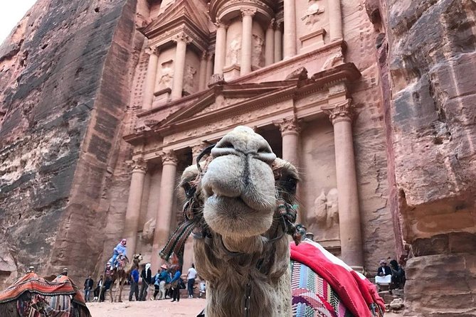 Private Petra Full-Day Trip From Aqaba City - Accessibility and Recommendations