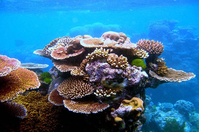 Private Phi Phi & 4 Islands Sunset Cruise by Speedboat - From Krabi - Inclusions