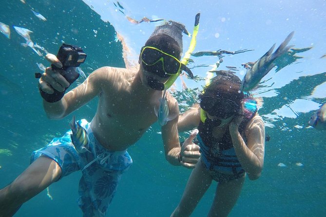 Private Phi Phi Islands Sunrise Tour Speedboat Charter - Highlights