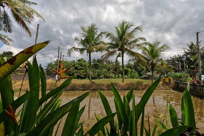 Private Photo and Video Session in Bali - Accessibility and Participation