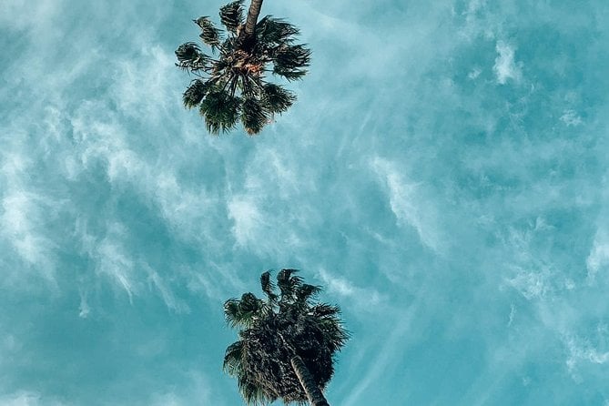 Private Photo Tour in Los Angeles - Best Instagram Places in LA - Inclusions