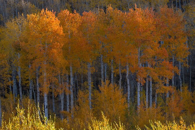 Private Photo Workshop and Sightseeing in Wasatch Mountains - Accessibility and Transportation