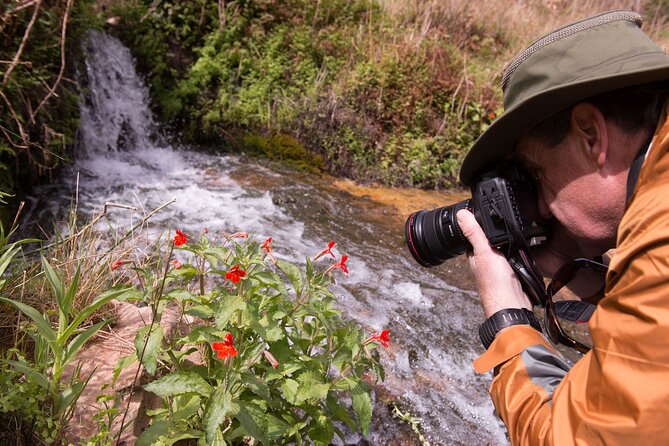 Private Photo Workshop and Sightseeing in Wasatch Mountains - Reviews and Ratings