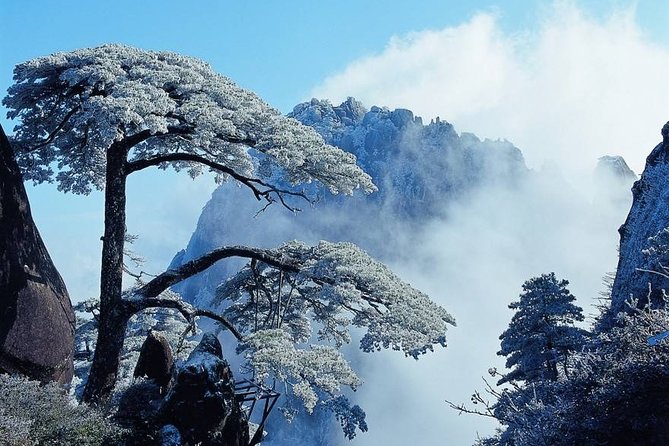 Private Photography Day Tour of Huangshan Yellow Mountain - Experience Details