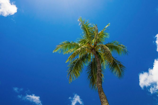 Private Photography Lessons - Key Points