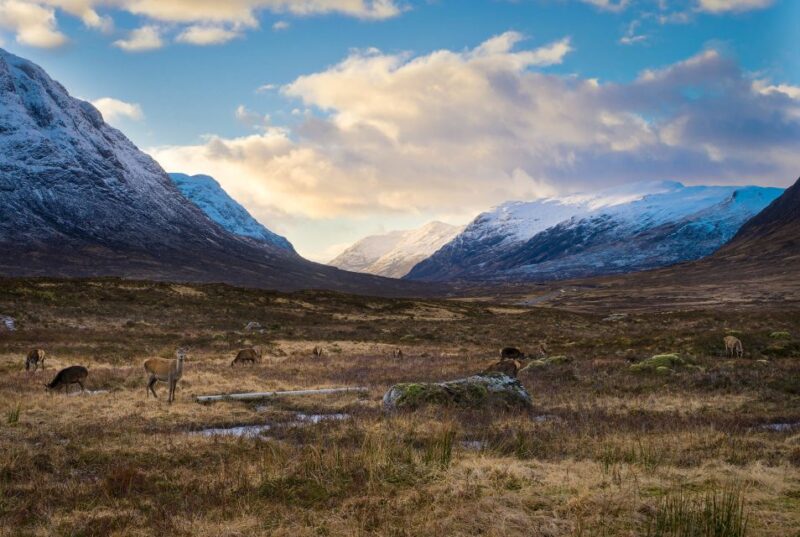 Private Photography Tour in Edinburgh - Key Points