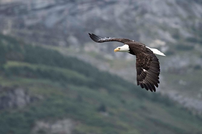 Private Photography Tour to Haines - Skagway Departure - Tour Inclusions