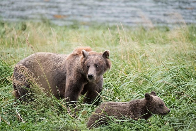 Private Photography Tour to Haines - Skagway Departure - Booking and Confirmation