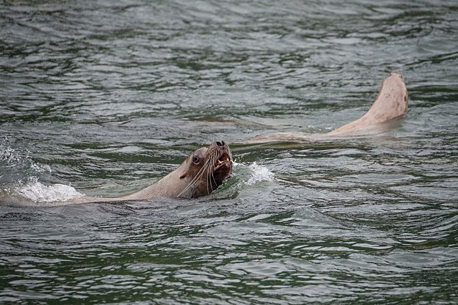 Private Photography Tour to Haines - Skagway Departure - Transportation and Pickup