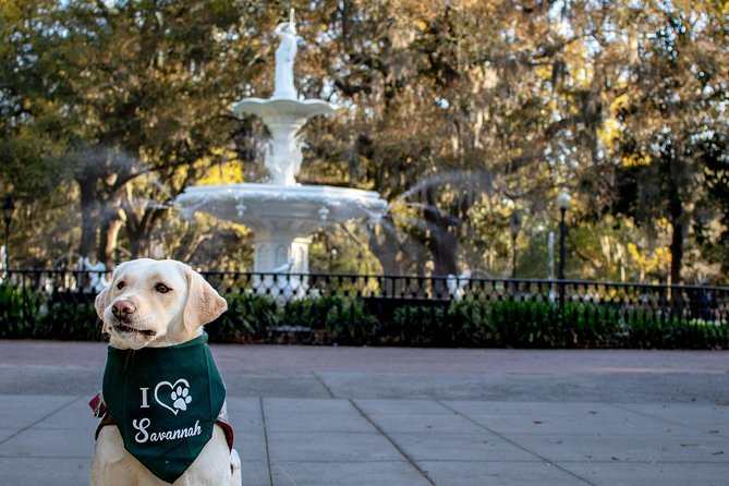 Private Photoshoot in Savannah, GA - Additional Details and Notes